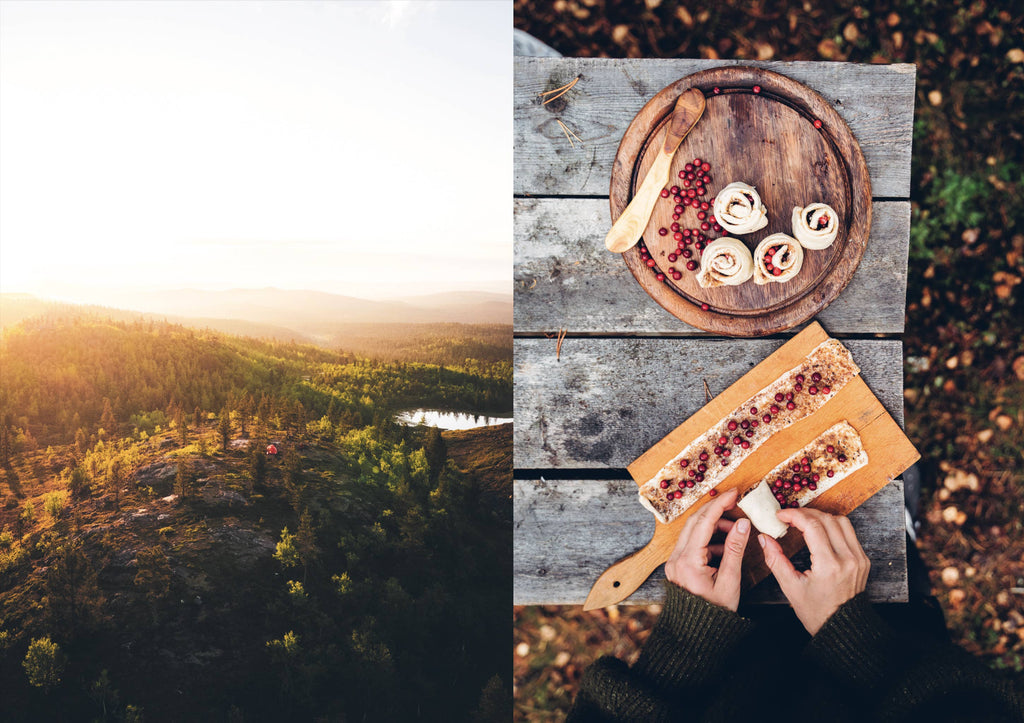 Food in the Wild – Foraging cookbook (English)