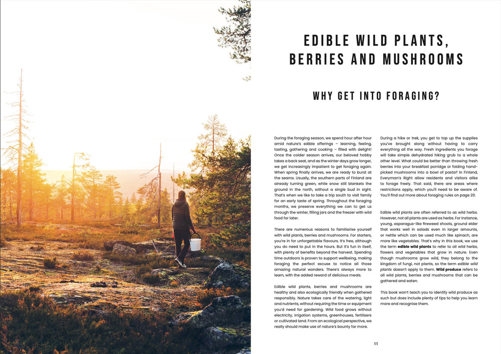Food in the Wild – Foraging cookbook (English)