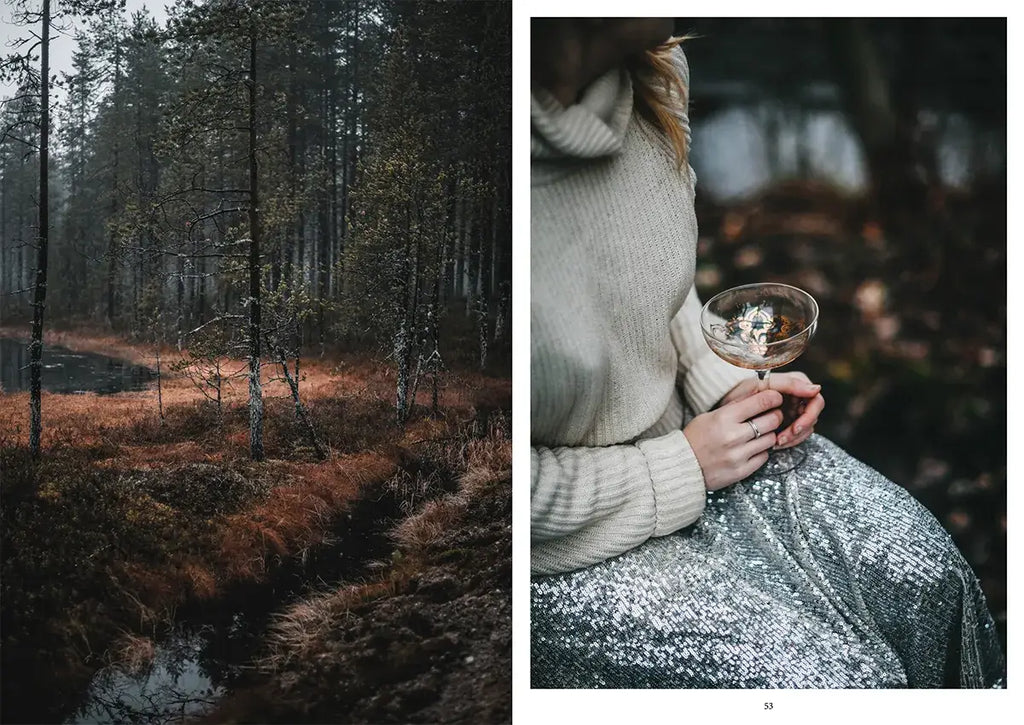 Nordic Winter – Winterkochbuch (Englisch)