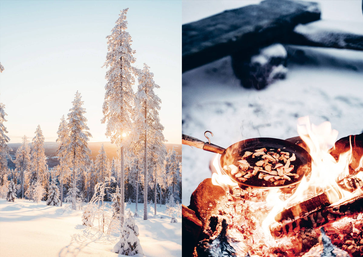 Food in the Wild – Foraging cookbook (English)