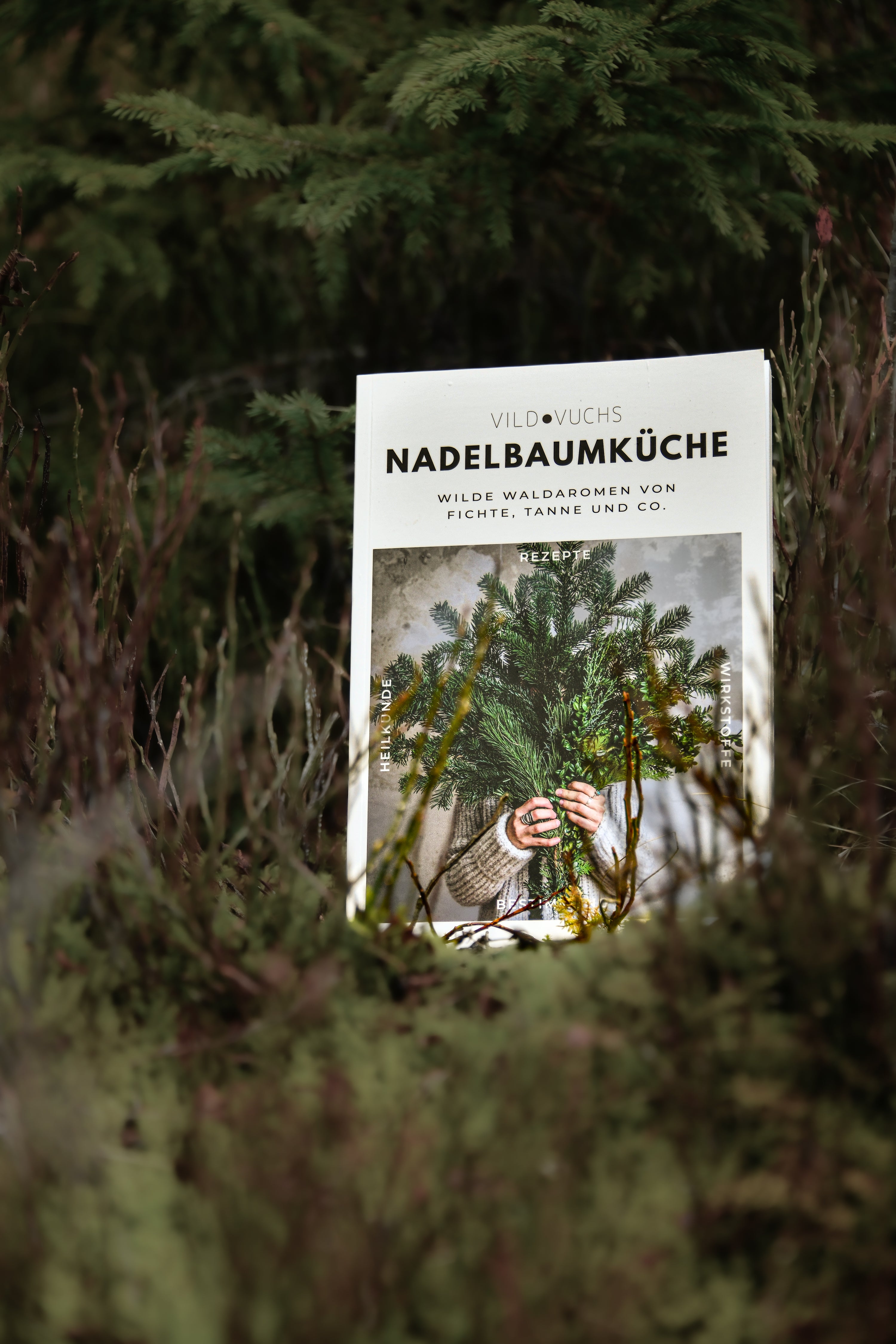 Buch Nadelbaumküche Rezepte mit Fichte, Tanne und co