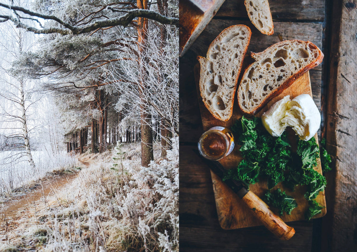 Food Over the Campfire – Outdoor-Kochbuch (Englisch)