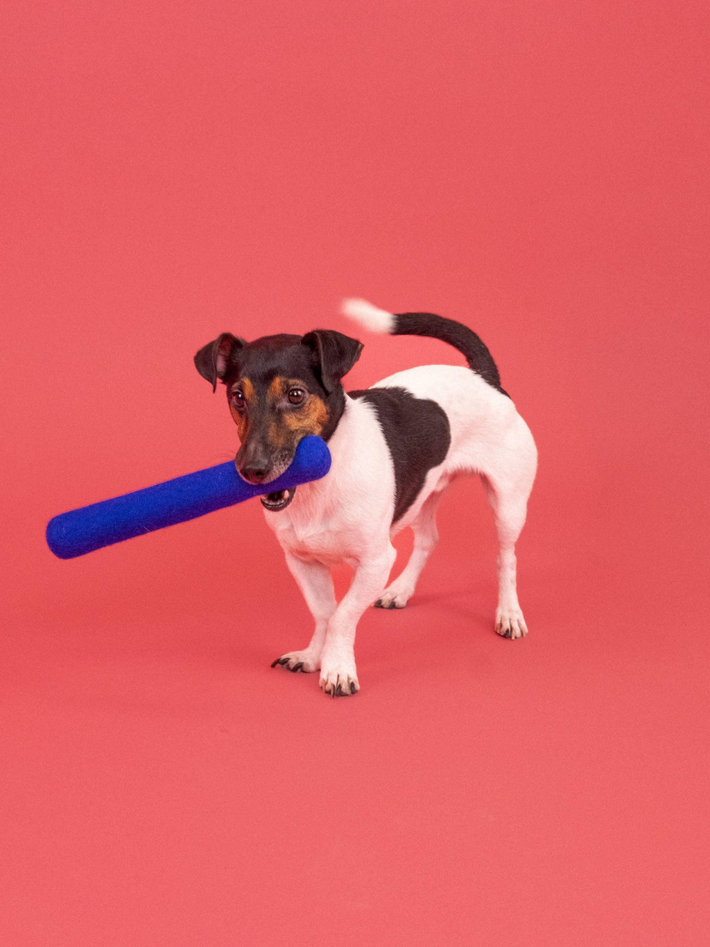 Jouet pour chien en feutre "Mats" - Fait main en pure laine vierge