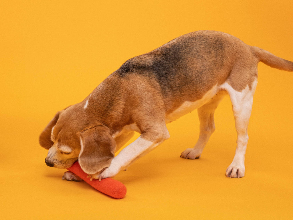 Filzstock Hundespielzeug Mats