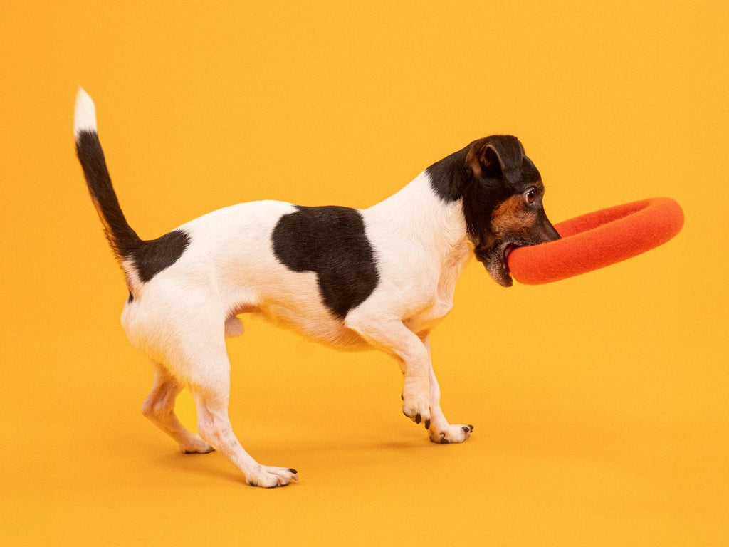 Hundespielzeug ring filz orange