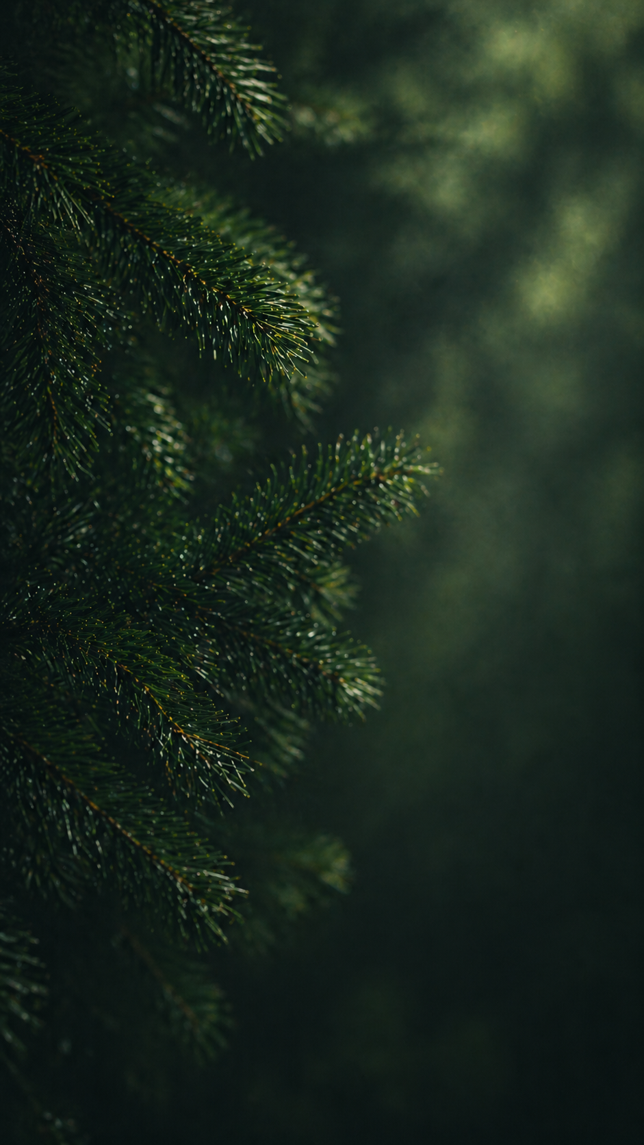 Northwood_Hero_Mobile