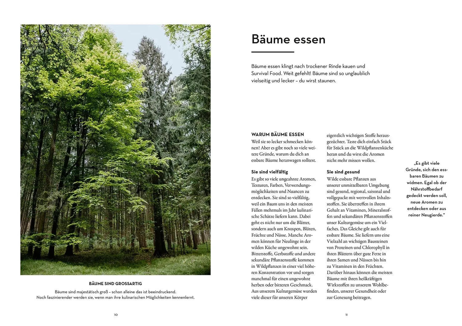 Buch - Tasty Trees - Leckeres aus Bäumen - Northwood.ch