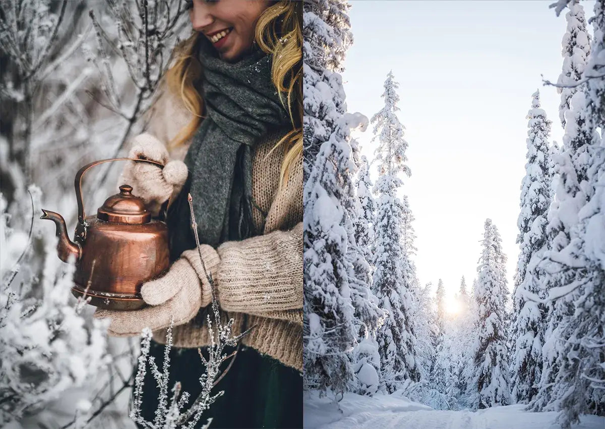 Nordic Winter – Winterkochbuch (Englisch)