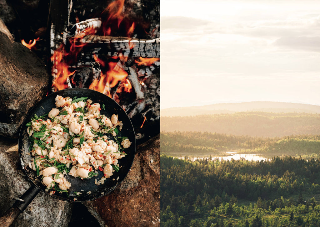 Food in the Wild – Foraging cookbook (English)