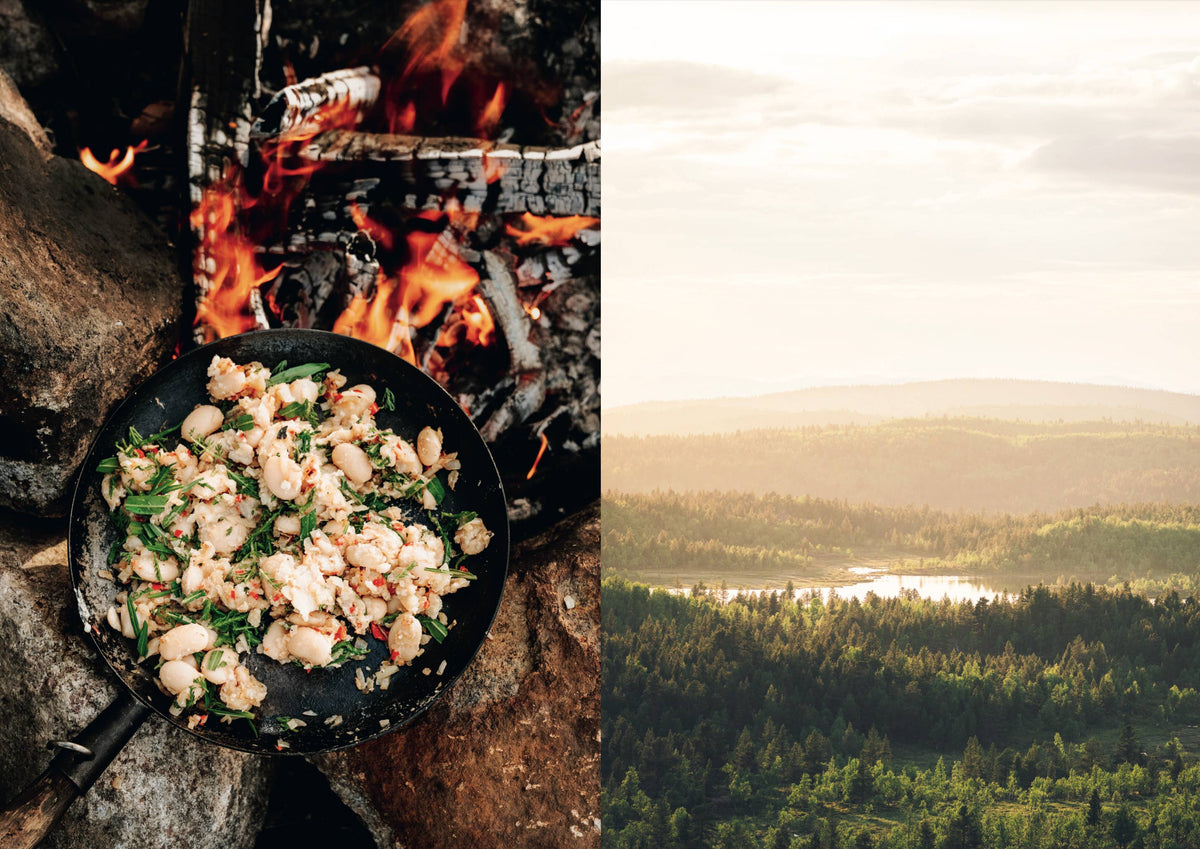 Food in the Wild – Foraging cookbook (English)