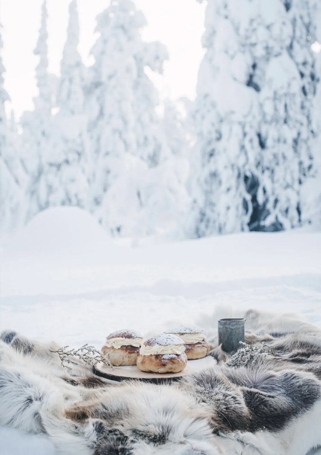 Nordic Winter – Winterkochbuch (Englisch)