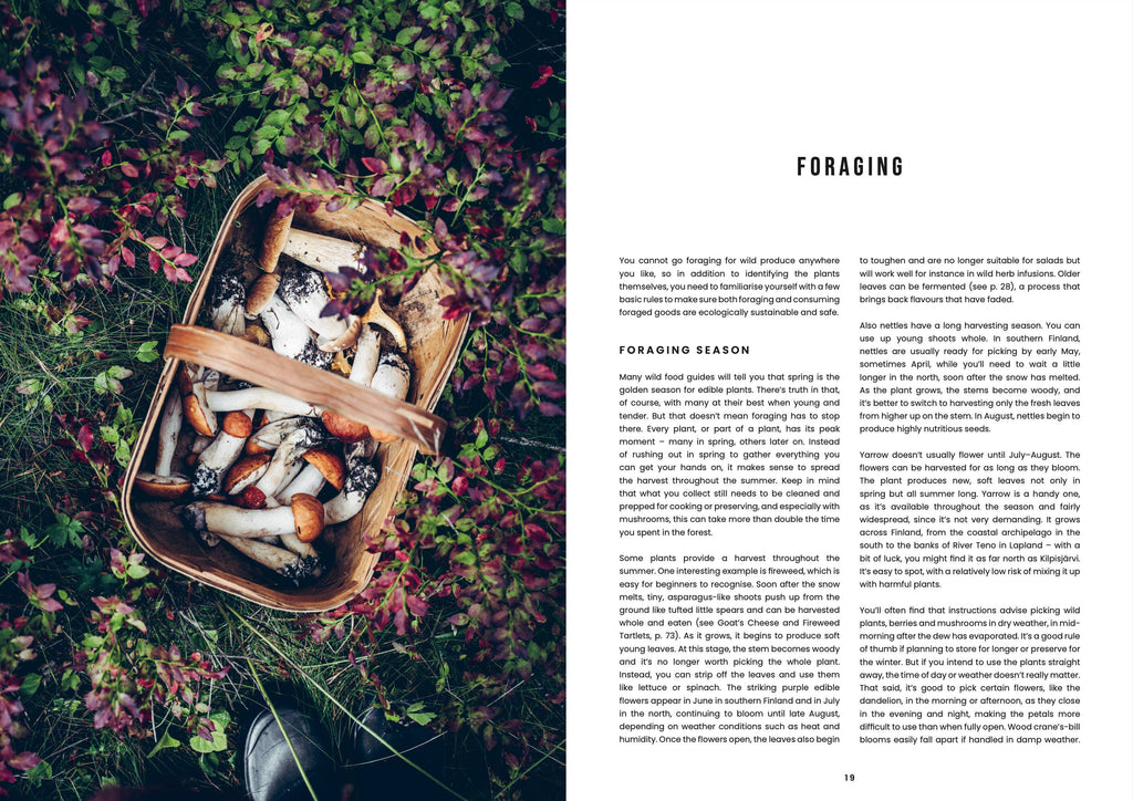 Food in the Wild – Foraging cookbook (English)