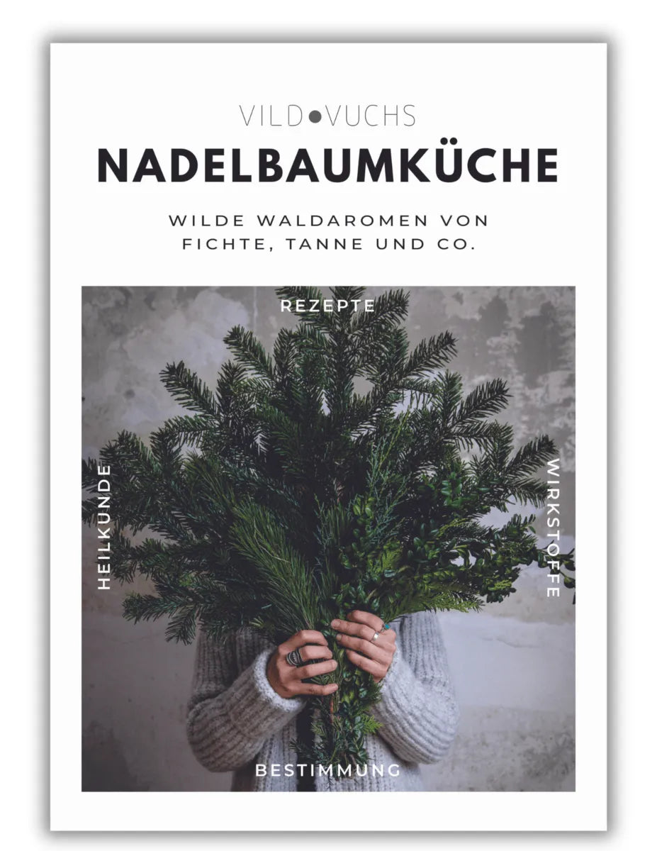 Buch - Nadelbaumküche - Wilde Aromen von Fichte, Tanne und Co. - Northwood.ch