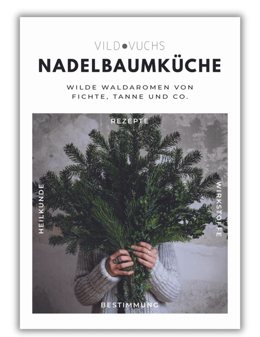 Buch - Nadelbaumküche - Wilde Aromen von Fichte, Tanne und Co